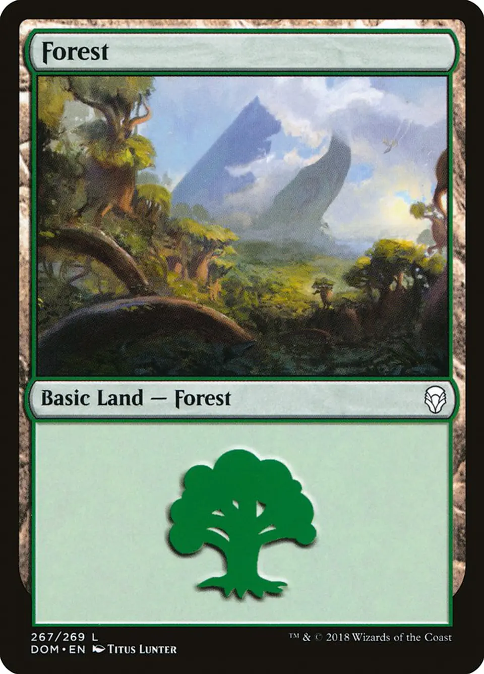 Forest 1