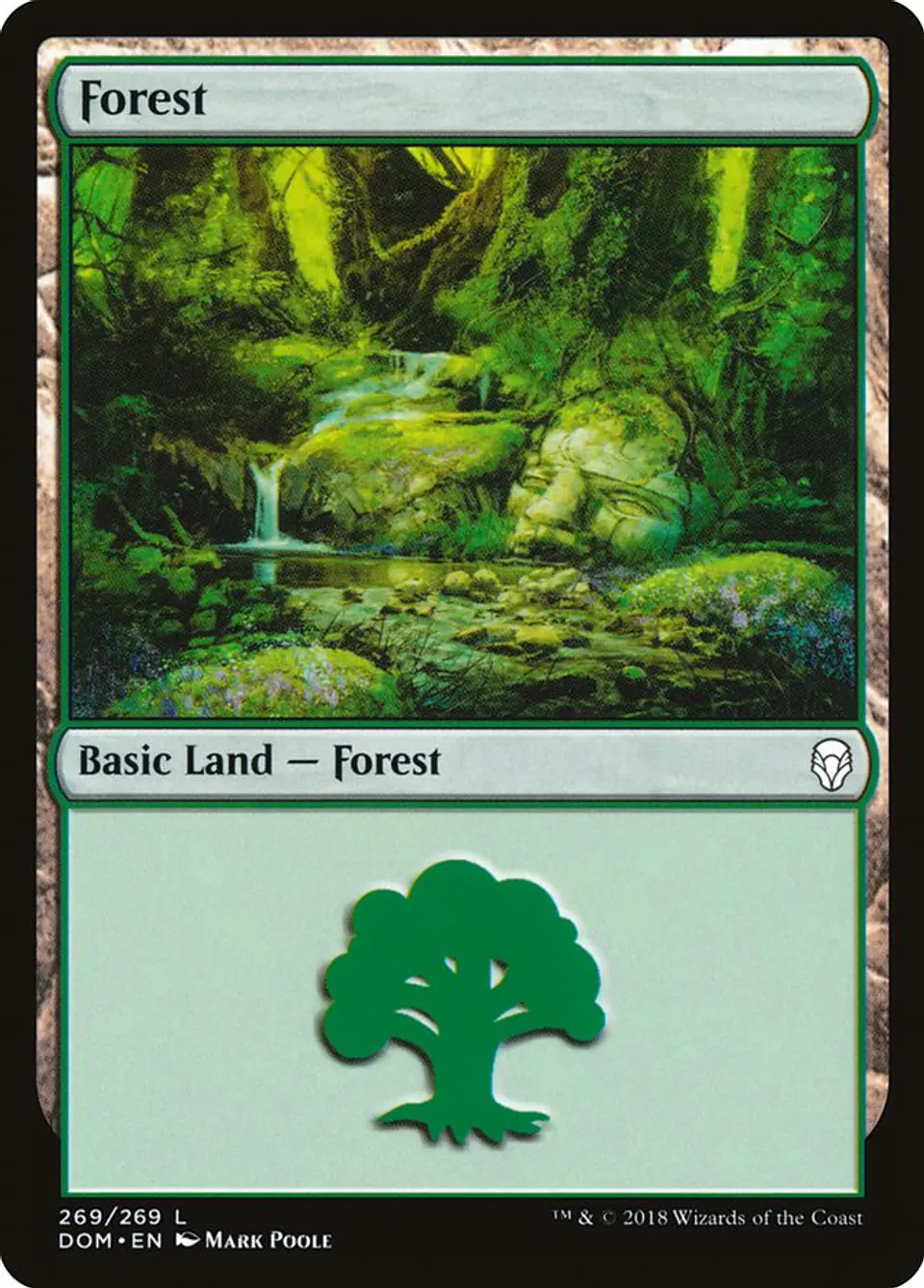 Forest 1