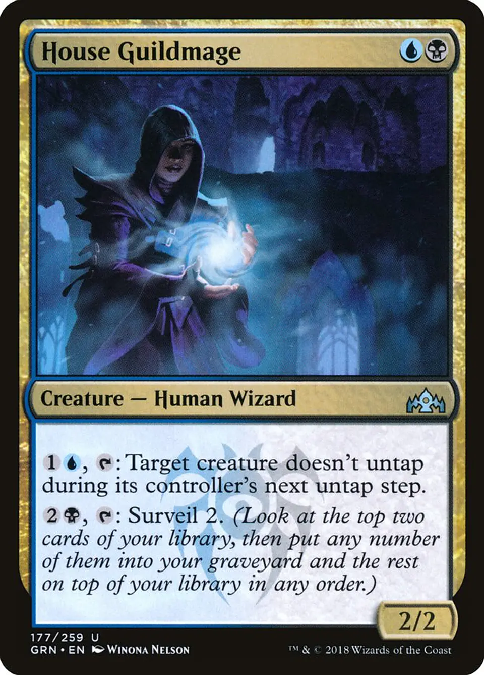House Guildmage 1