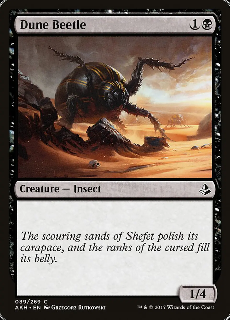 Dune Beetle 1