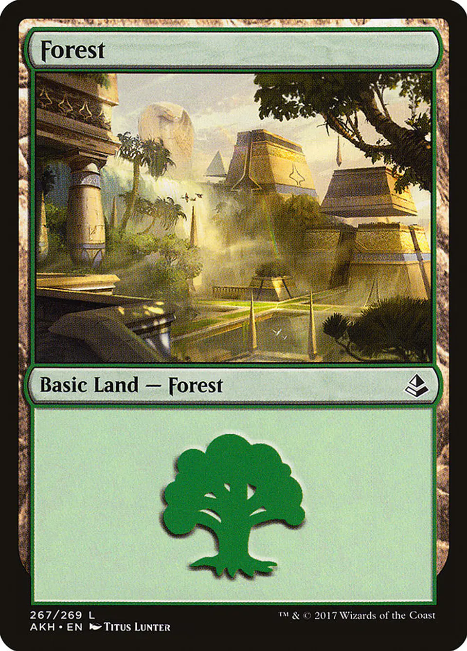 Forest 1