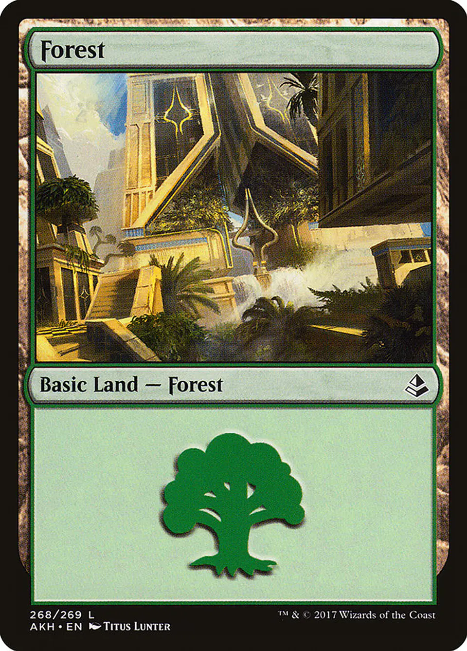 Forest 1