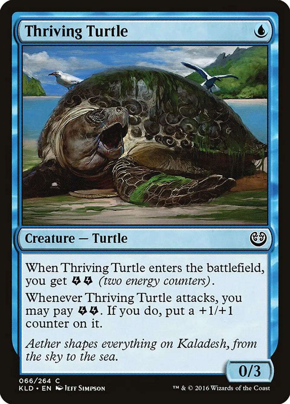 Thriving Turtle 1