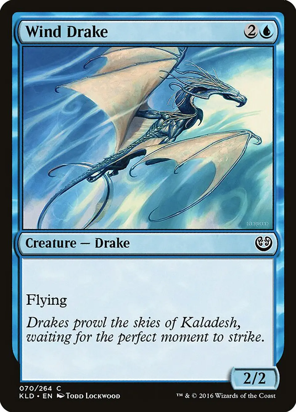 Wind Drake 1