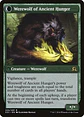 Sage of Ancient Lore // Werewolf of Ancient Hunger - thumbnail 2