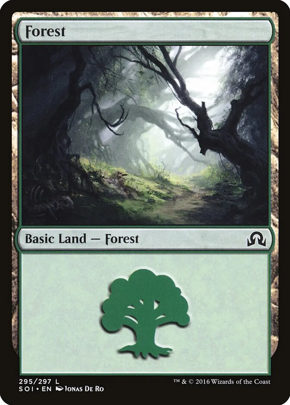 Forest 1