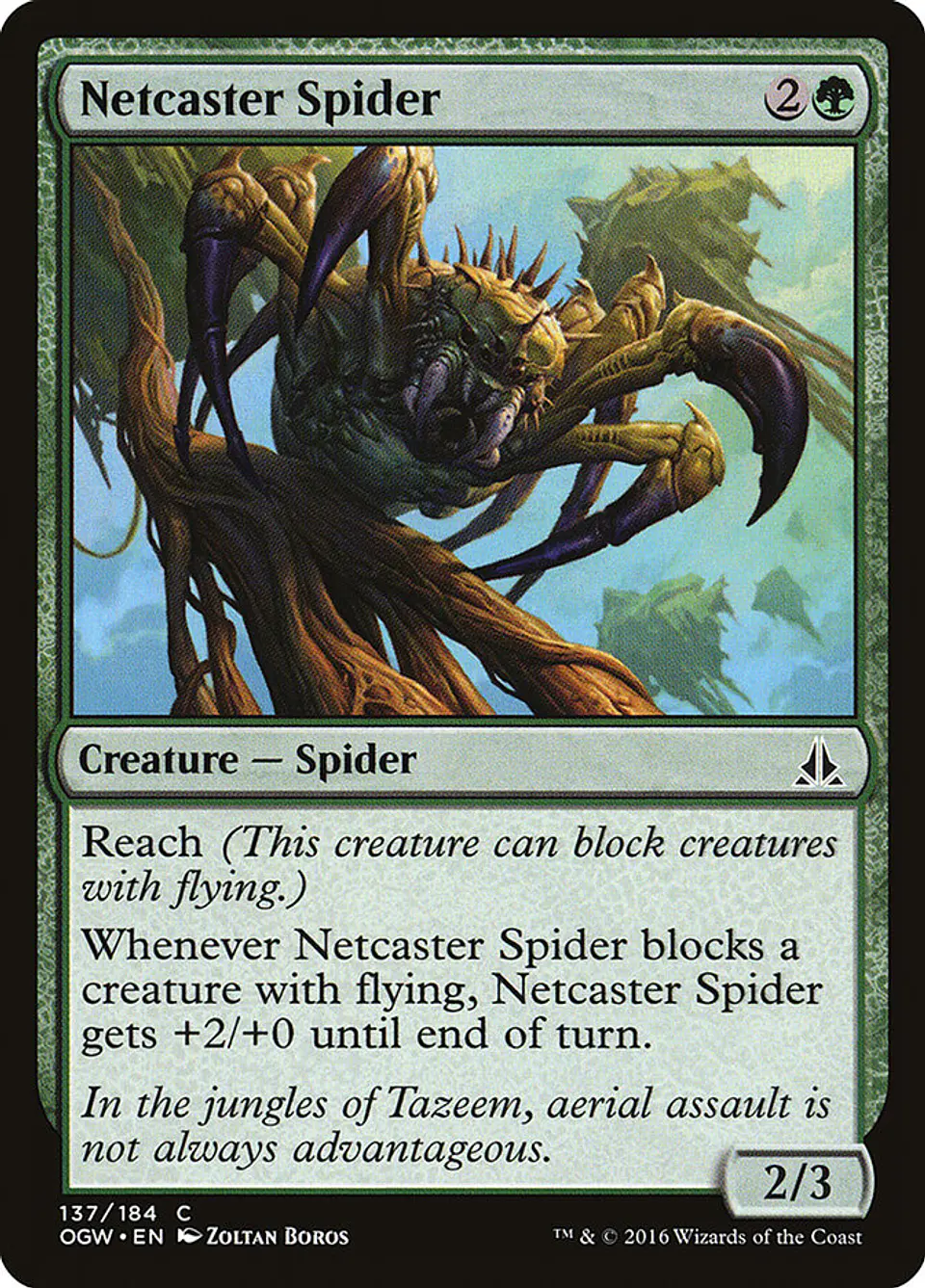 Netcaster Spider 1