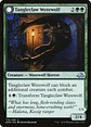 Tangleclaw Werewolf // Fibrous Entangler - Miniatura 1