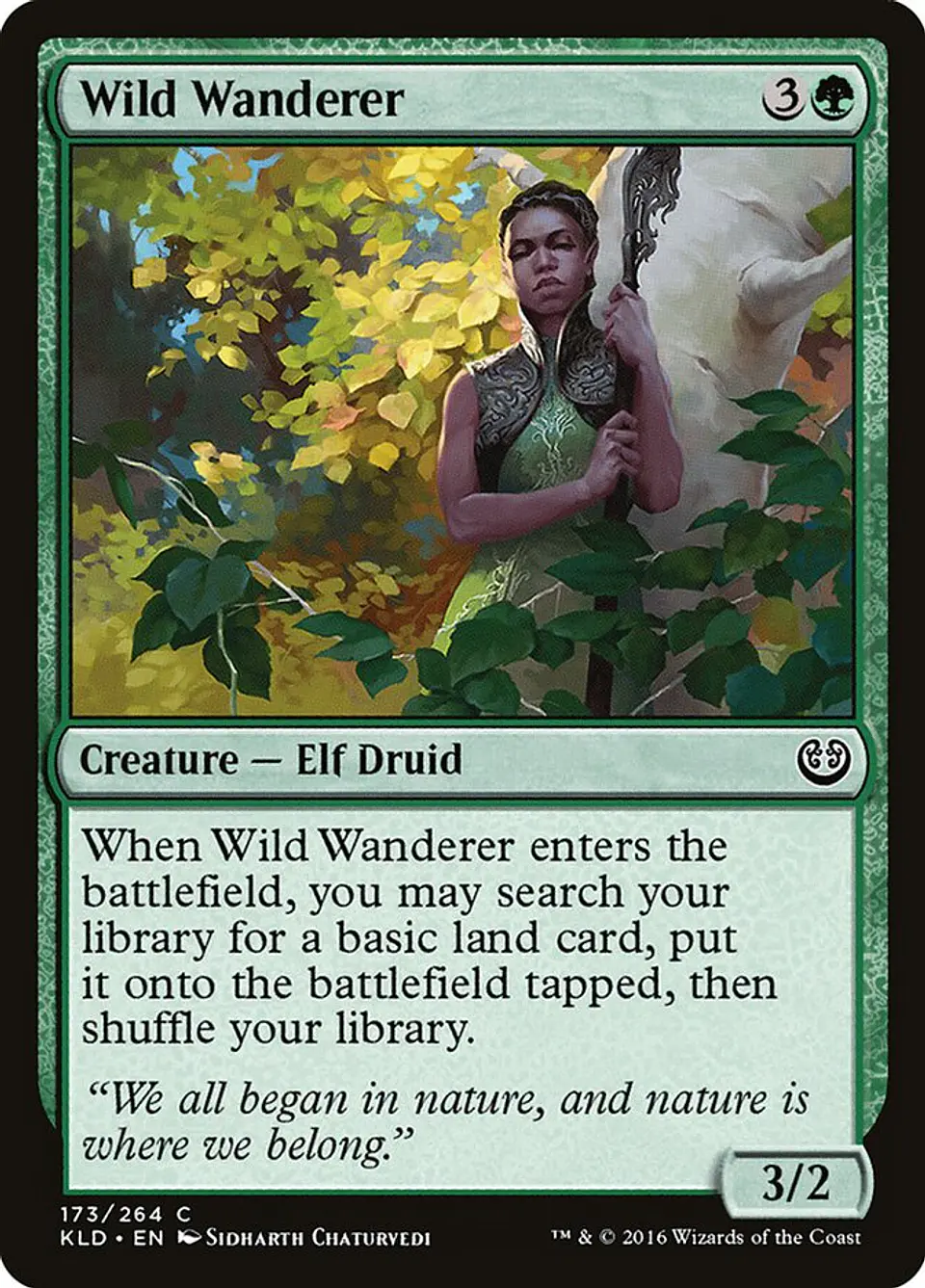 Wild Wanderer 1