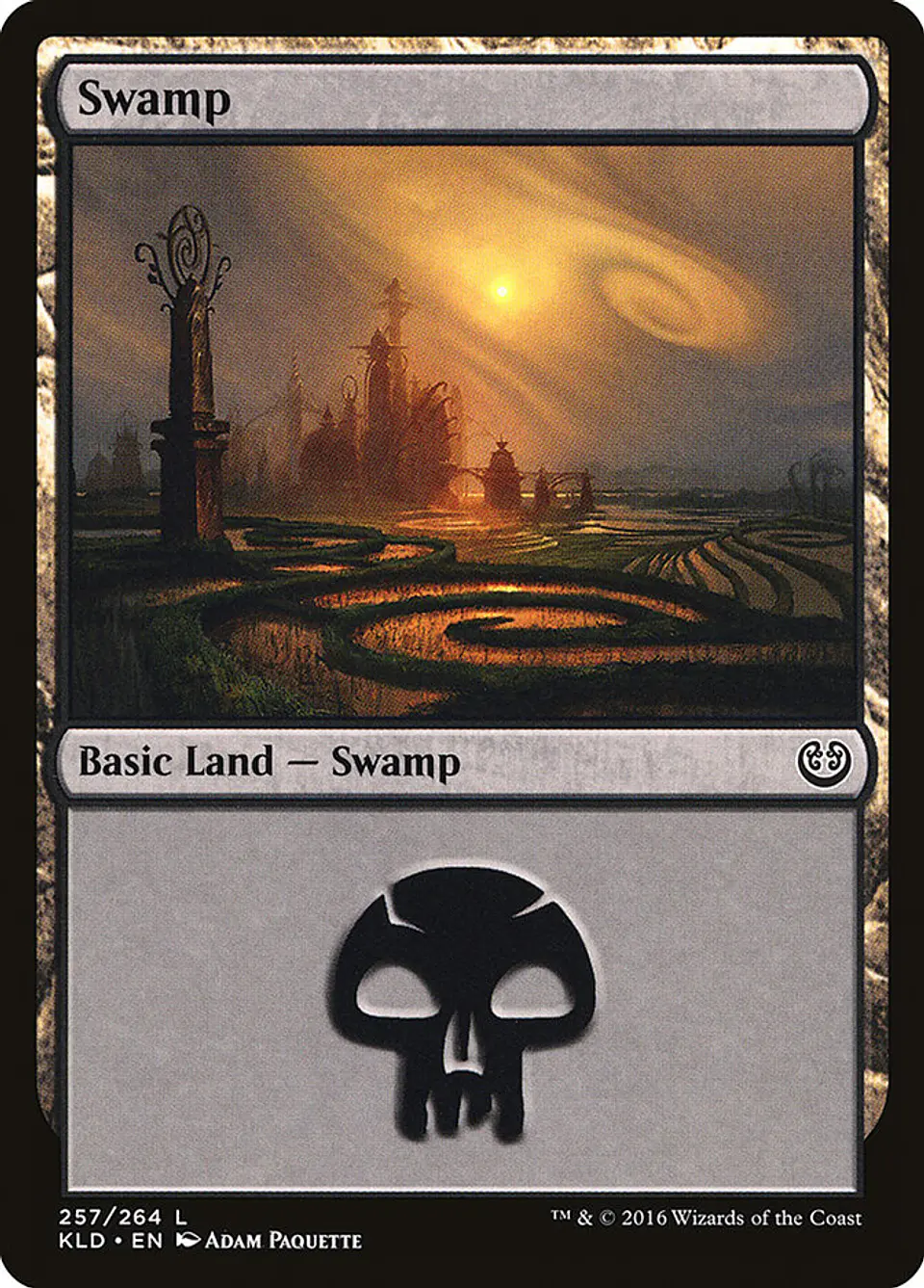 Swamp 1