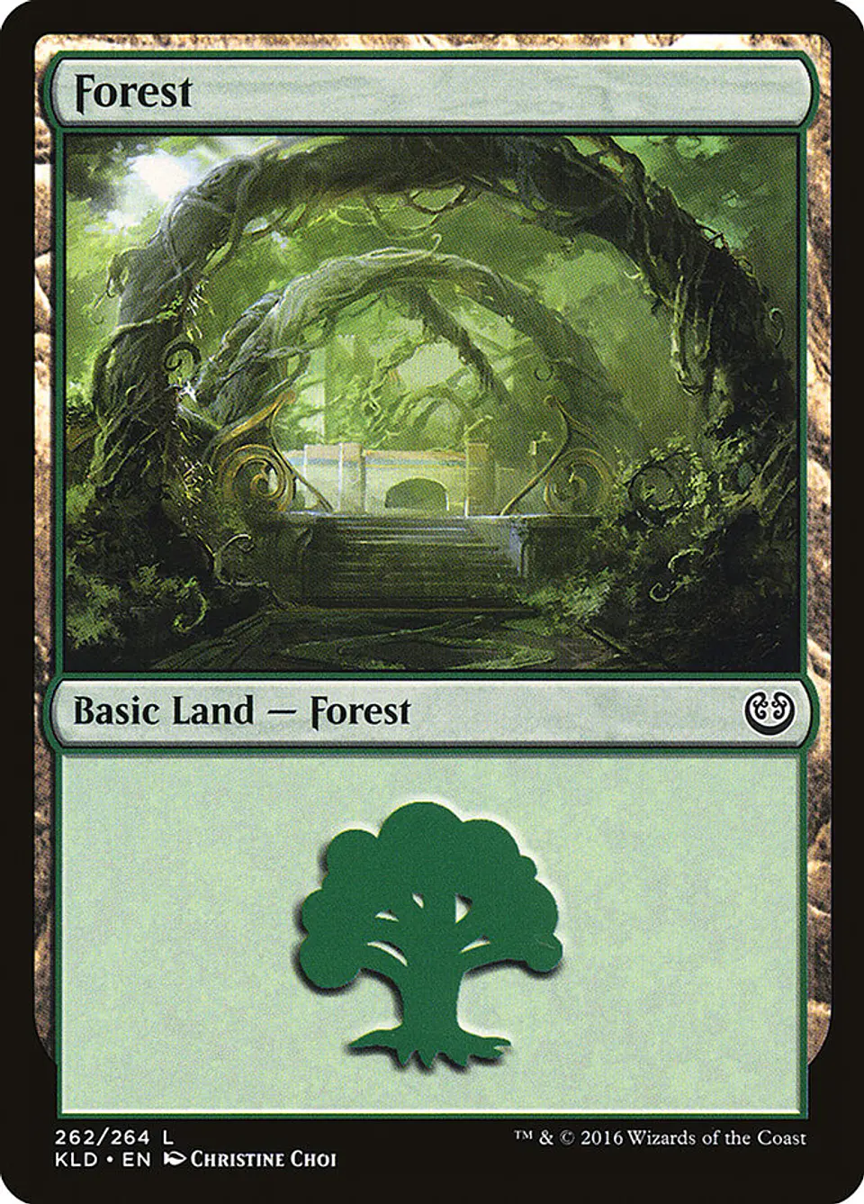 Forest 1