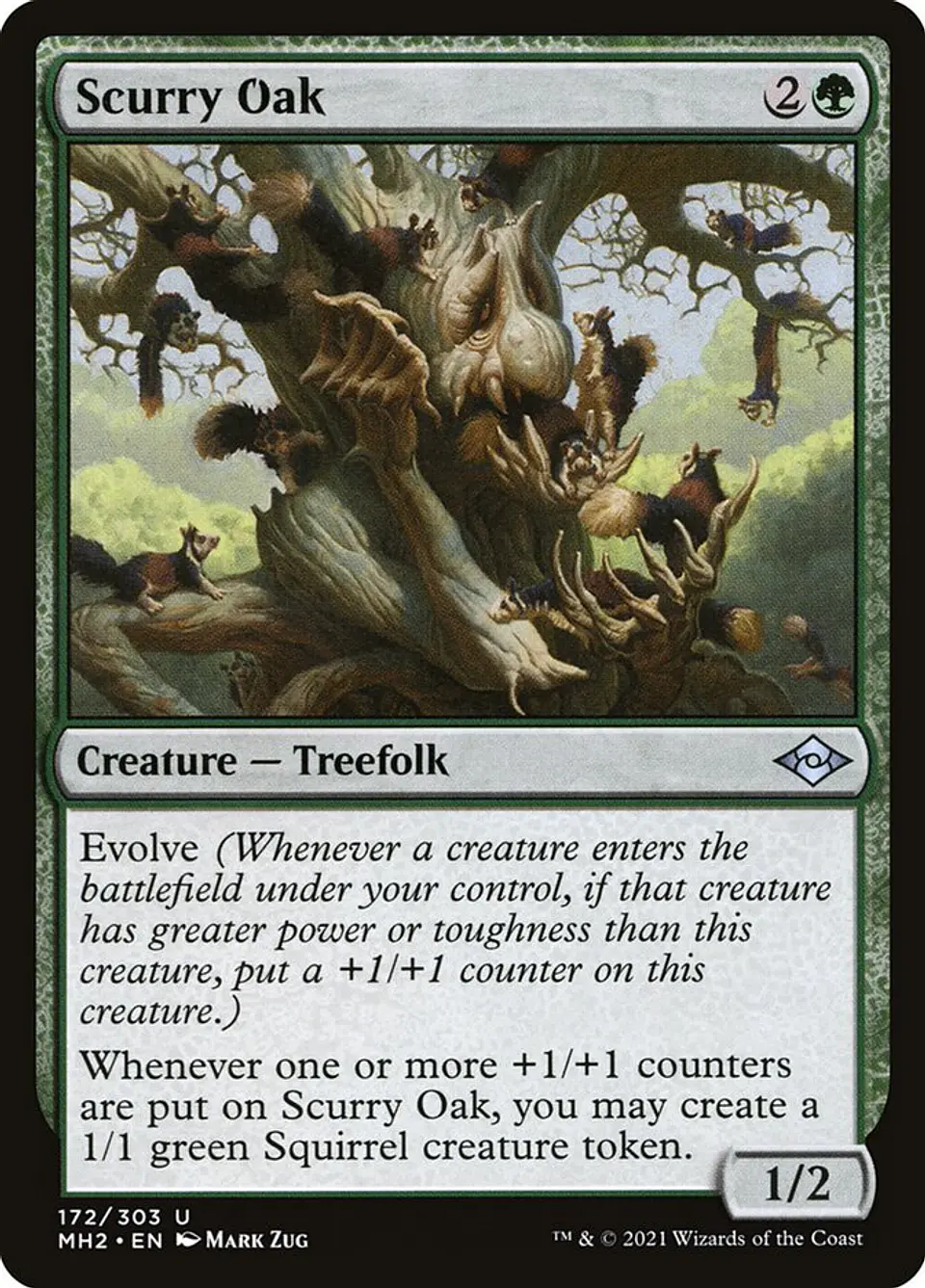 Scurry Oak 1