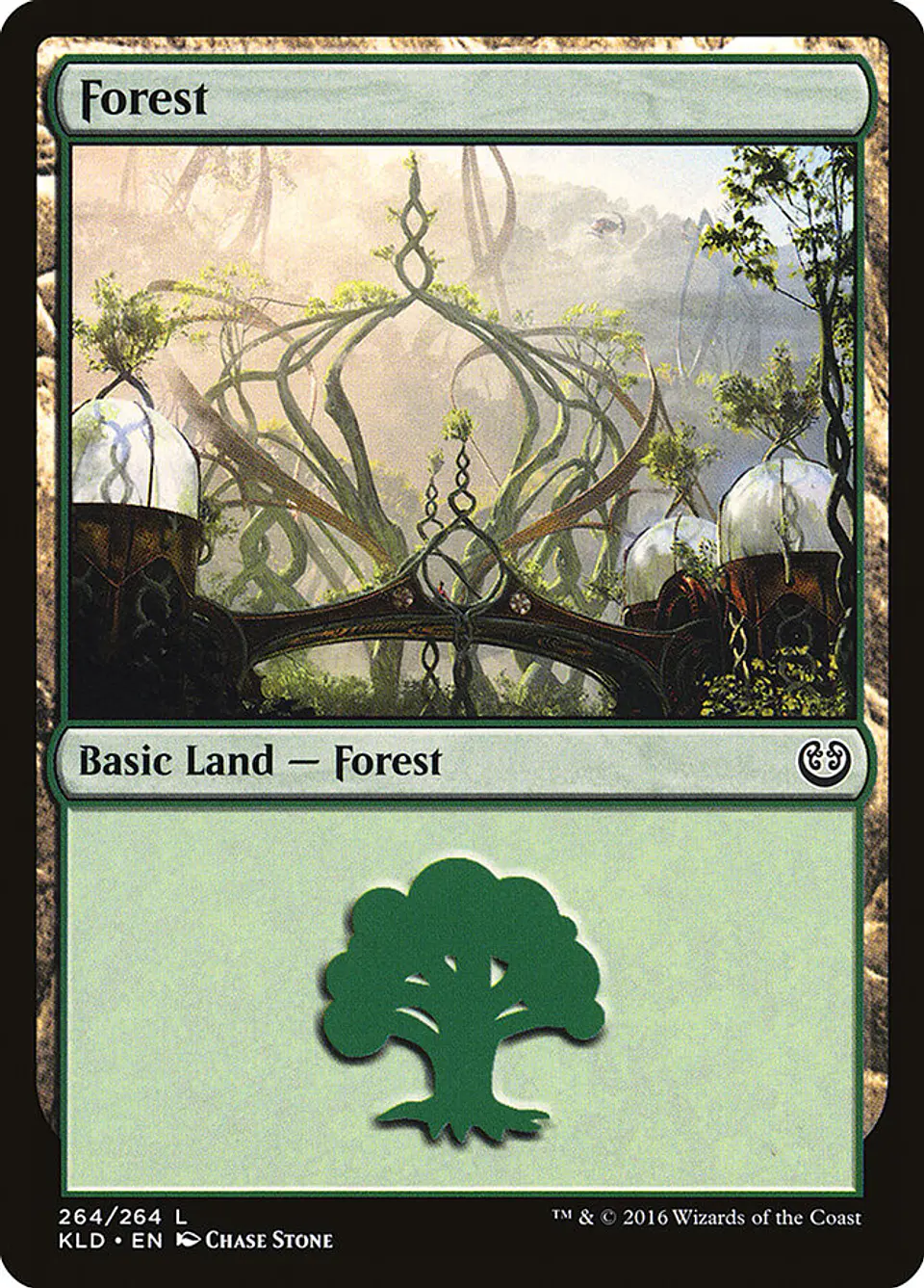 Forest 1