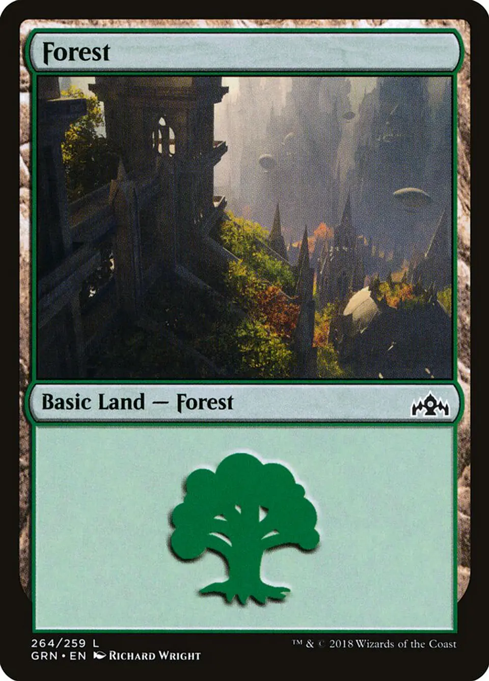 Forest 1