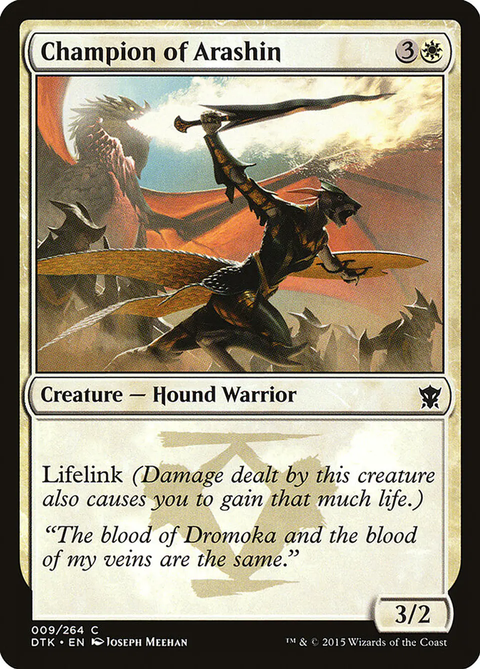 Champion of Arashin 1