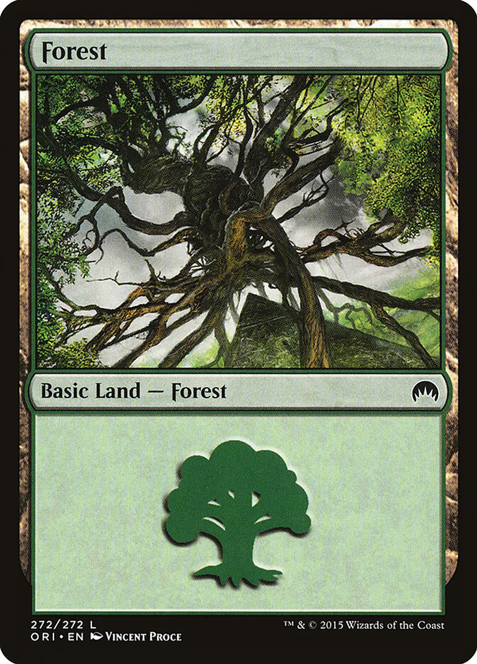 Forest 1
