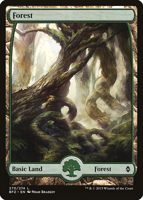 Forest (Full Art)