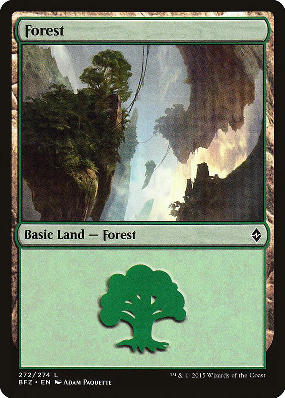 Forest 1