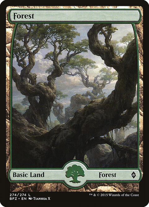 Forest (Full Art)