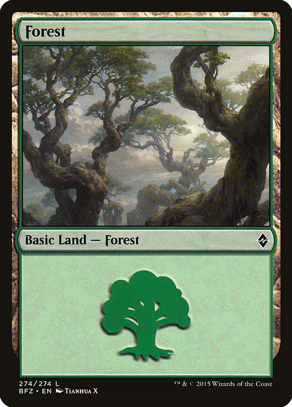 Forest 1