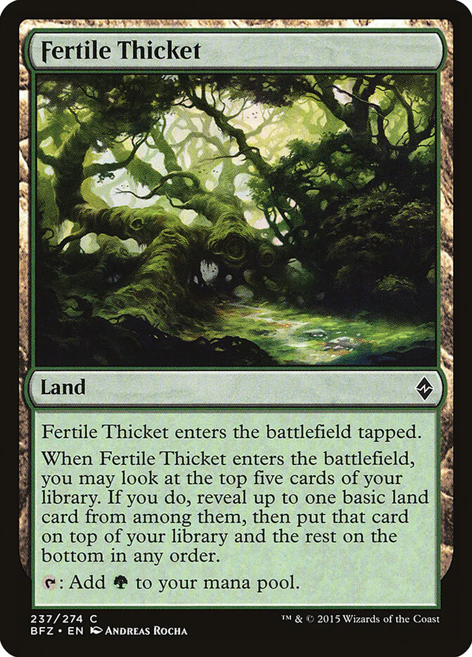 Fertile Thicket 1