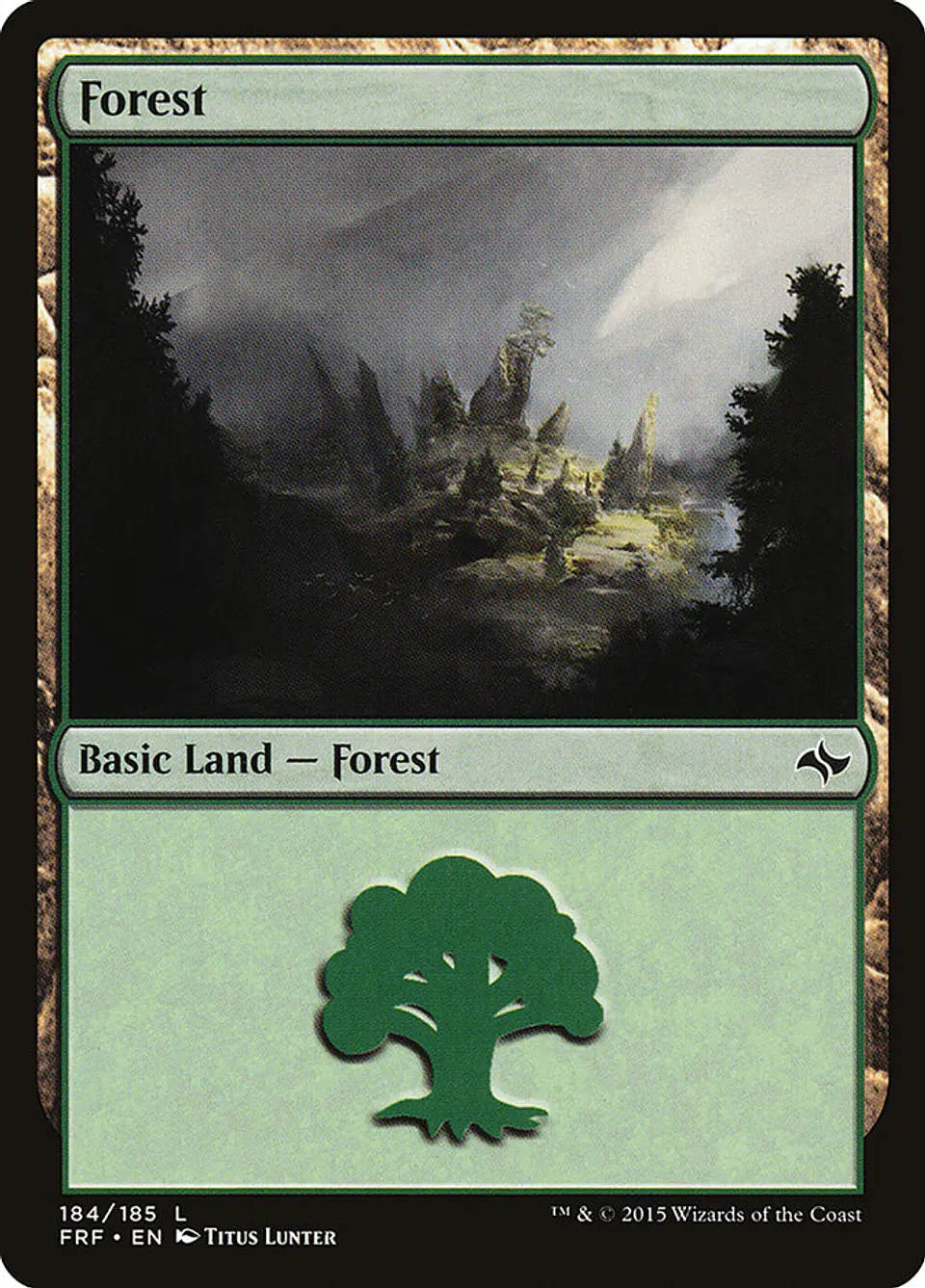 Forest 1