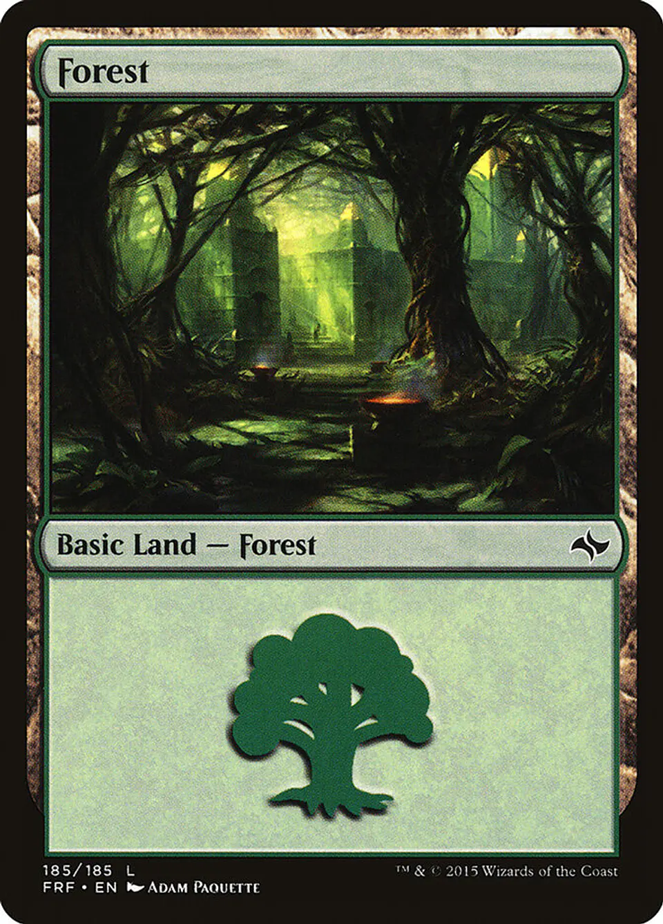 Forest 1