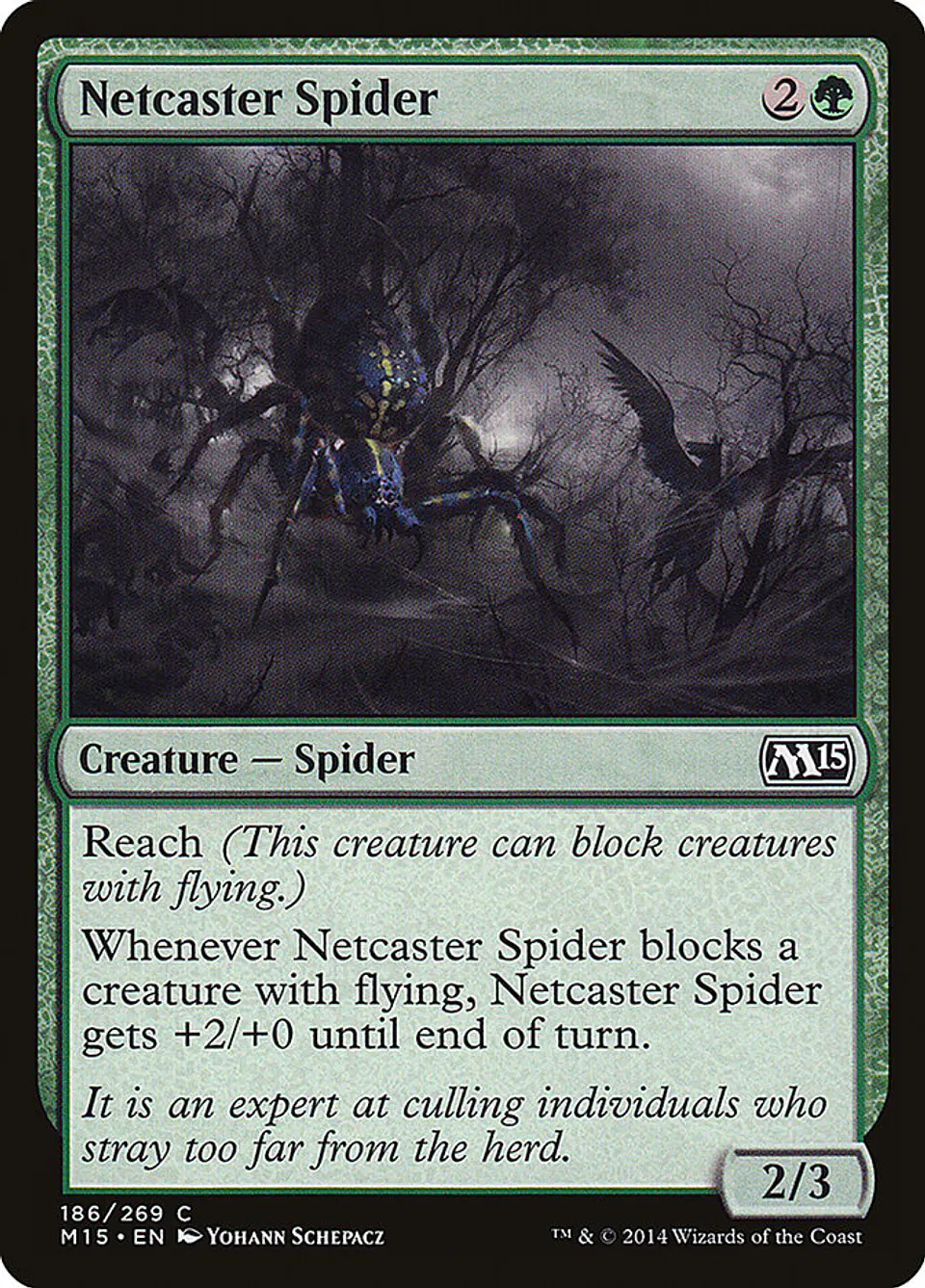Netcaster Spider 1
