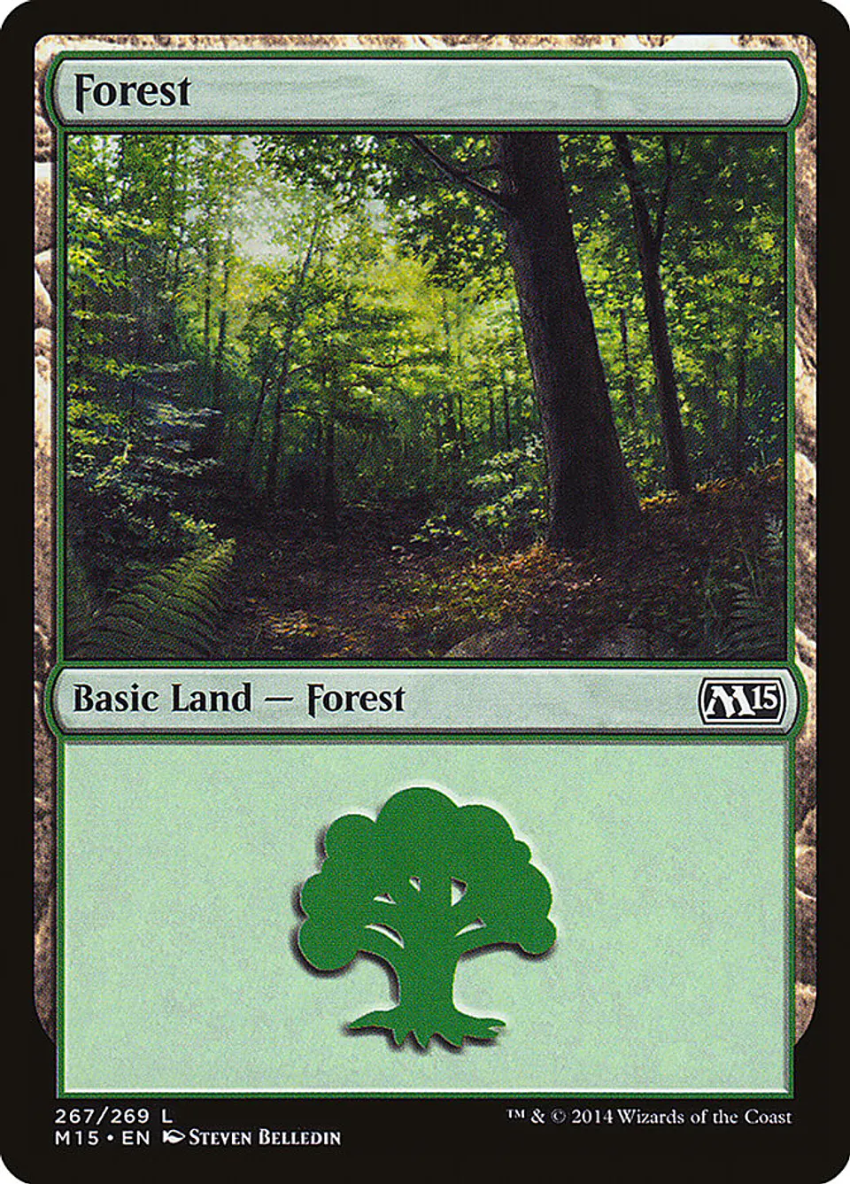 Forest 1