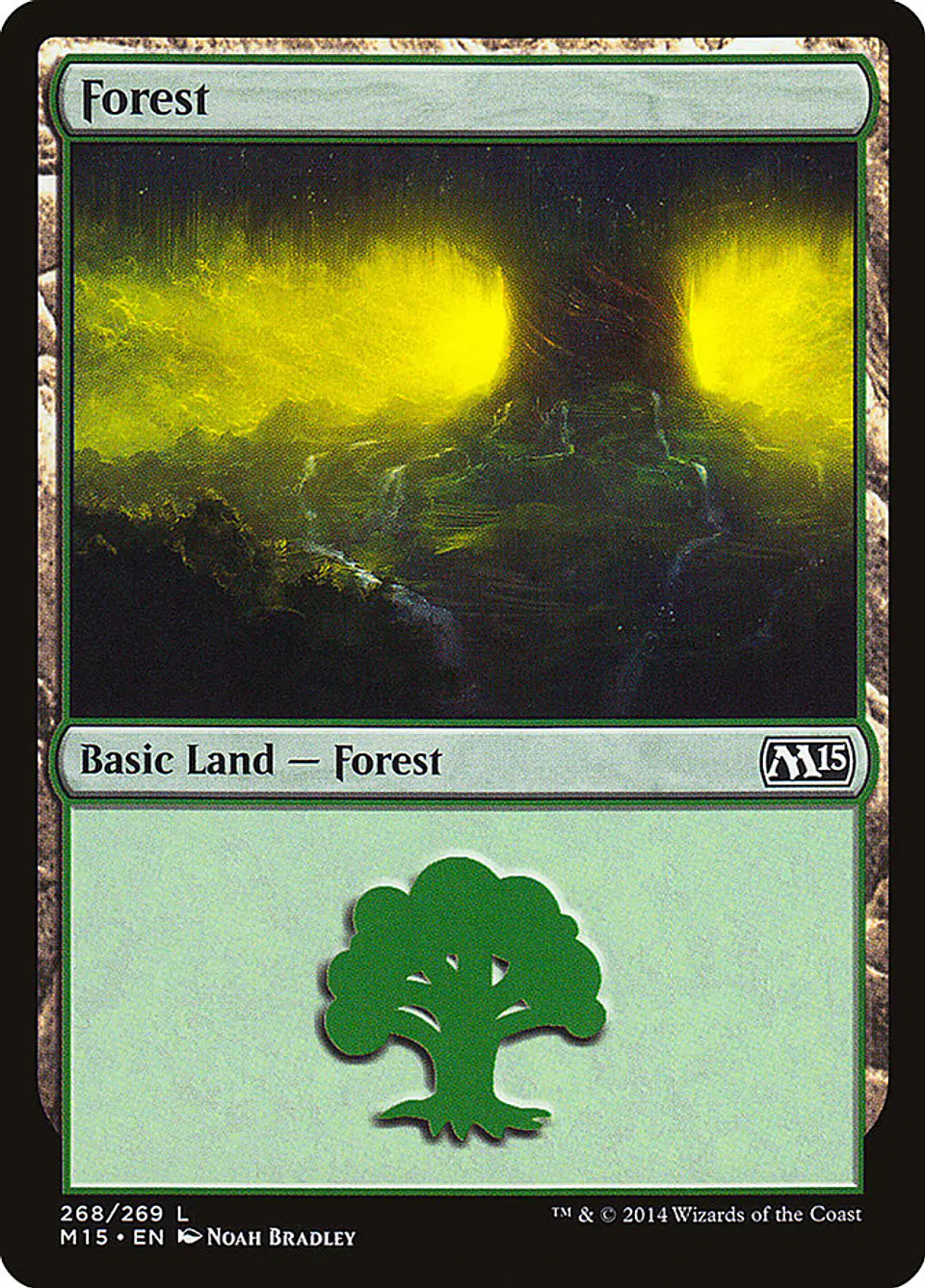 Forest 1