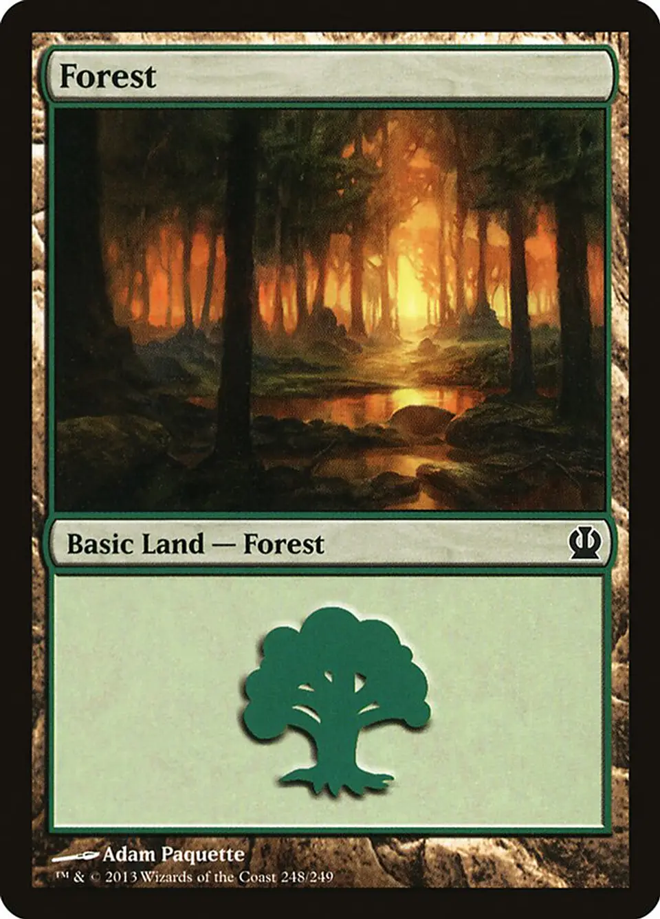 Forest 1