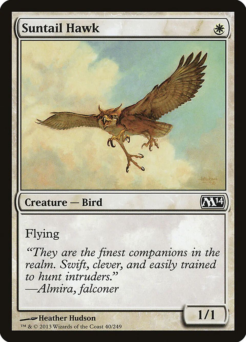 Suntail Hawk 1