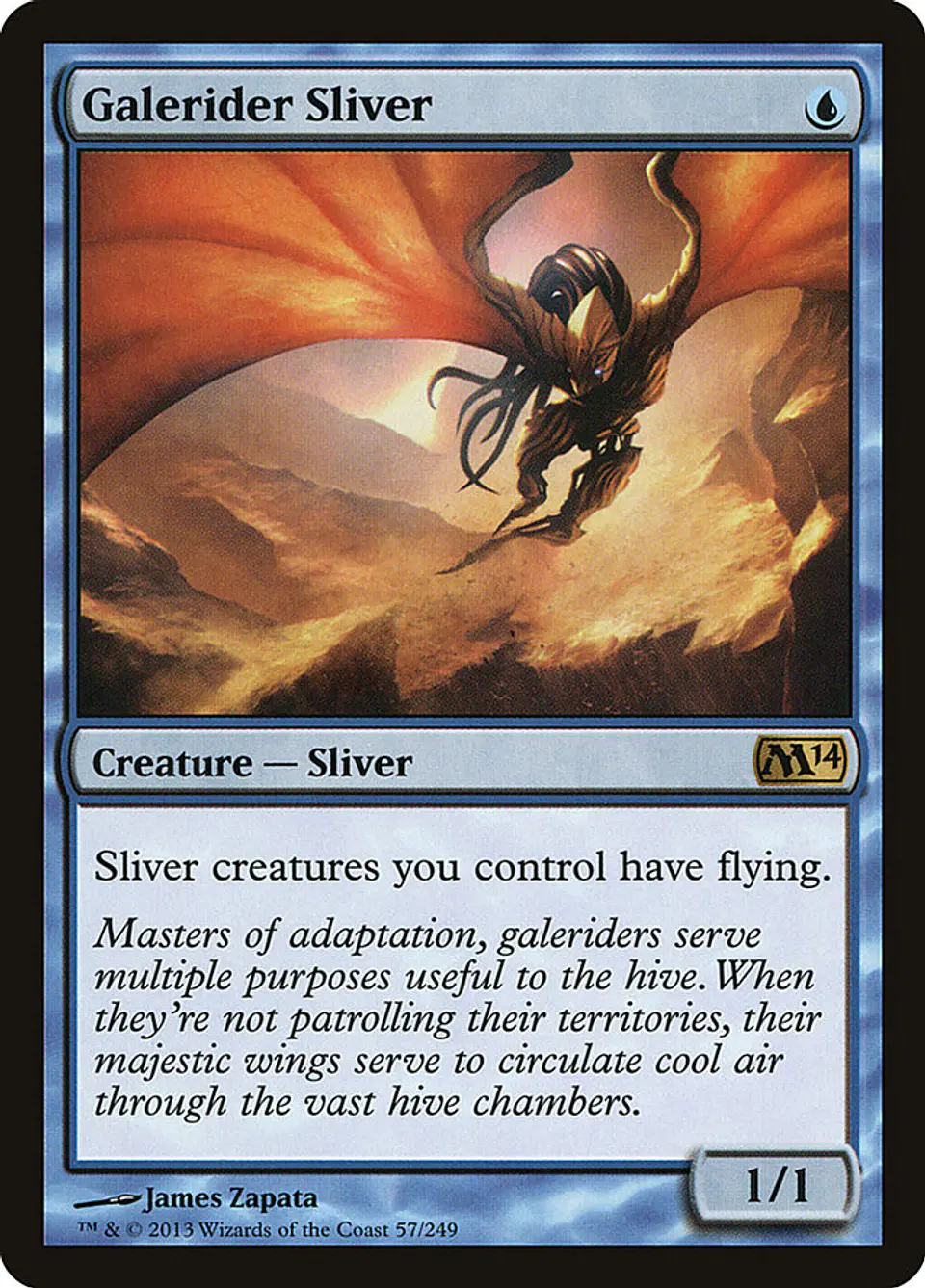 Galerider Sliver 1