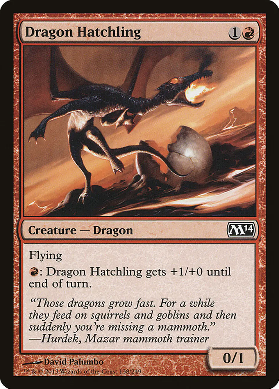 Dragon Hatchling 1