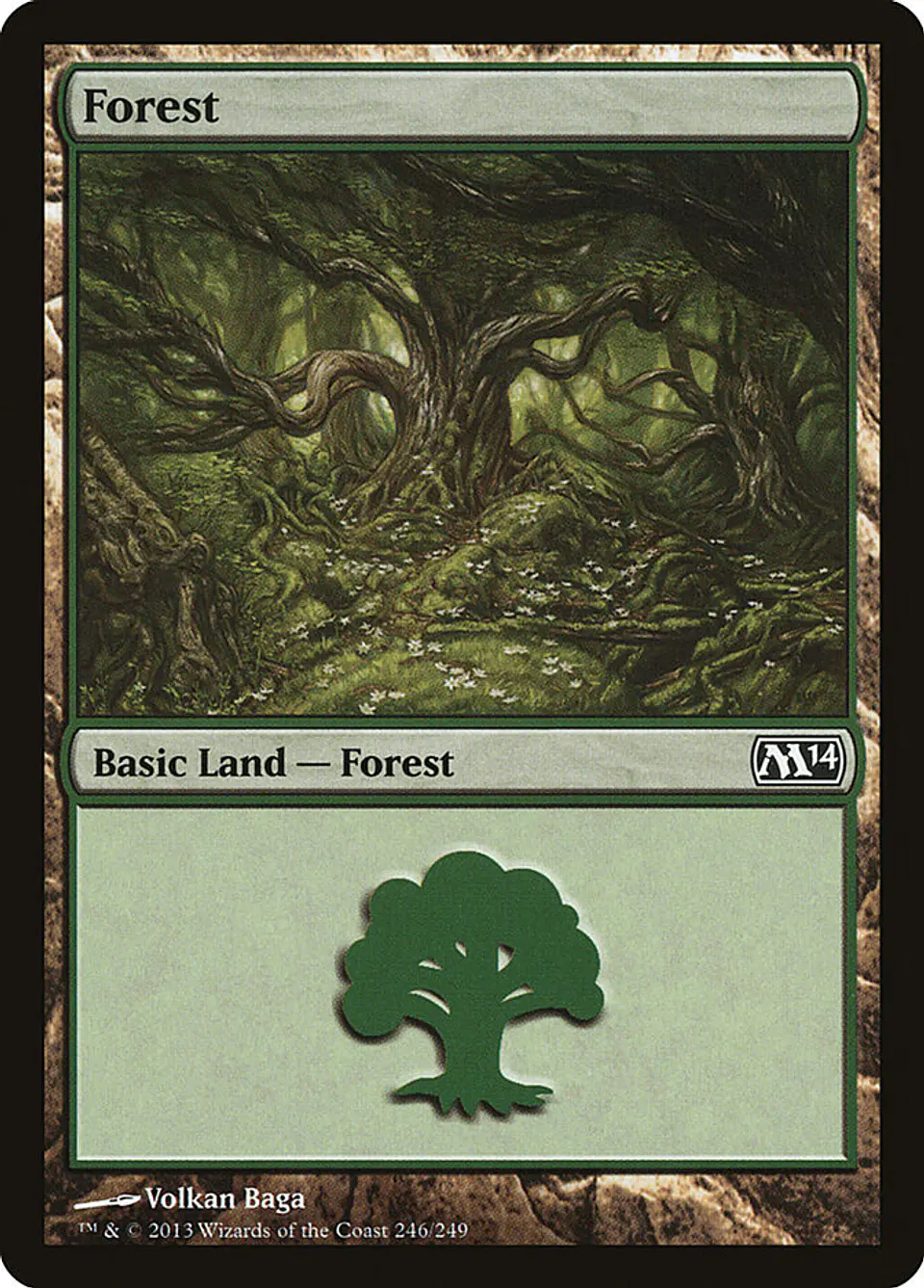 Forest 1