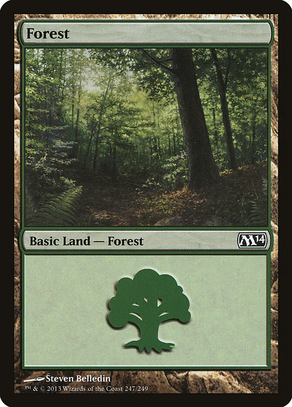 Forest 1
