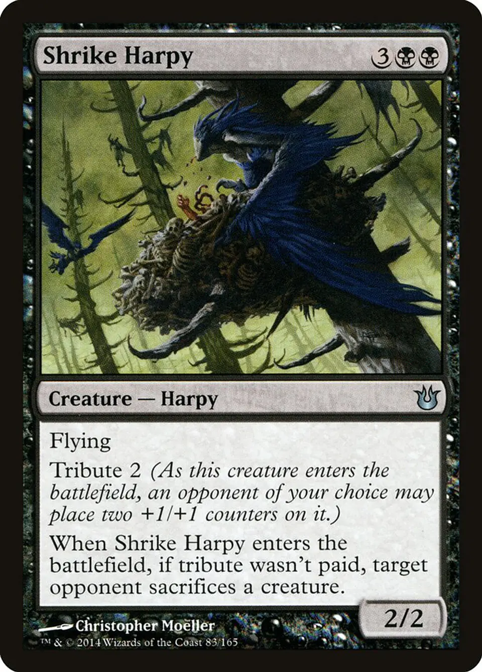 Shrike Harpy 1