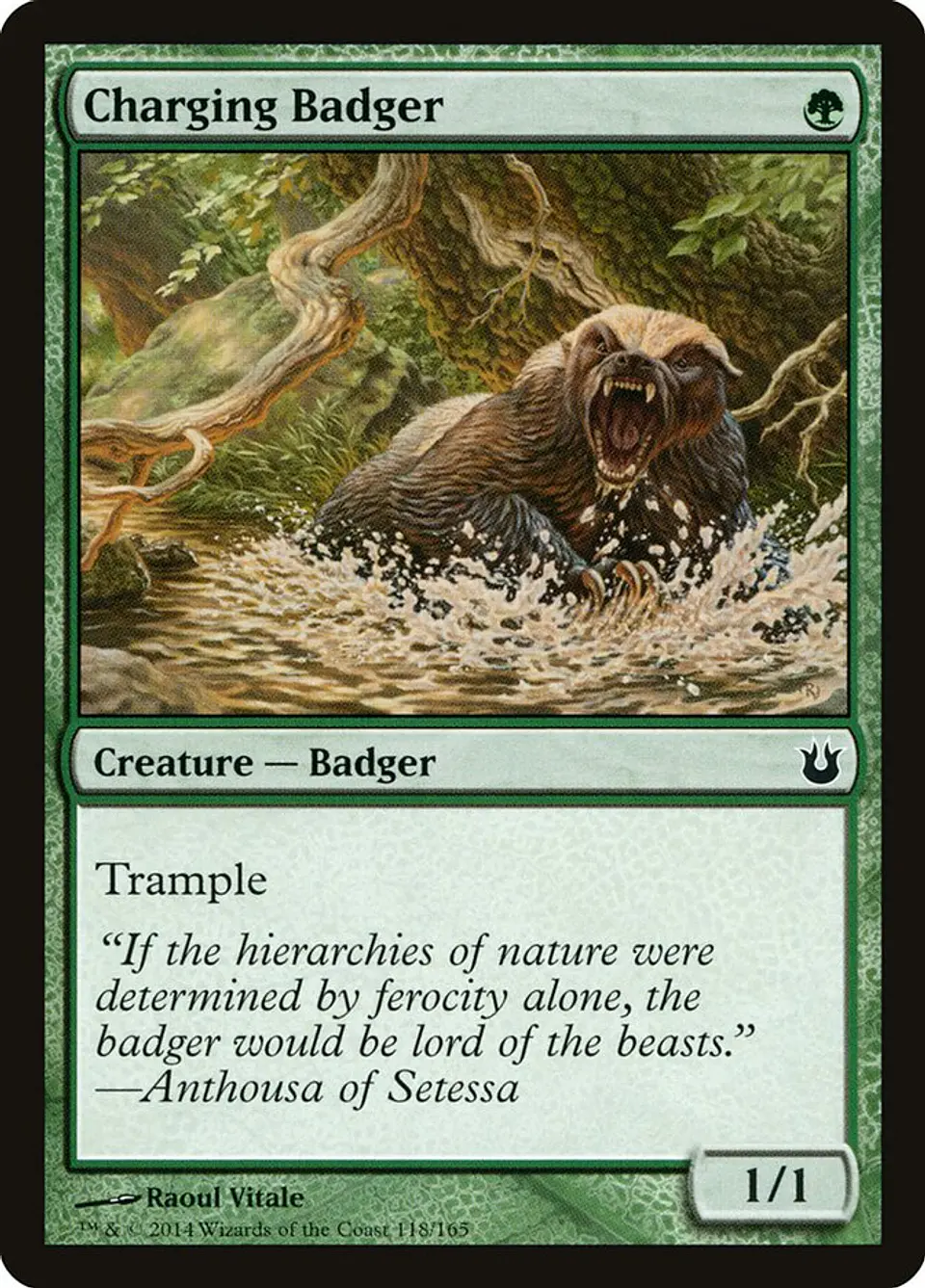 Charging Badger 1