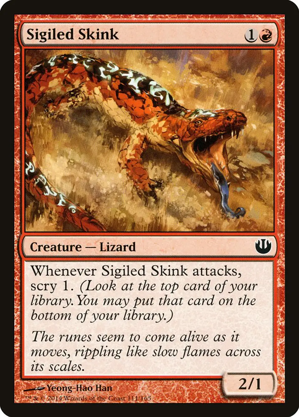 Sigiled Skink 1