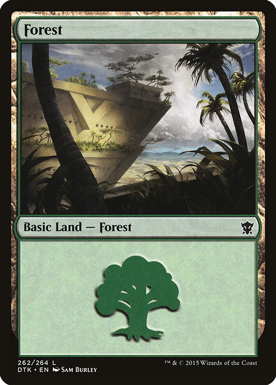 Forest 1