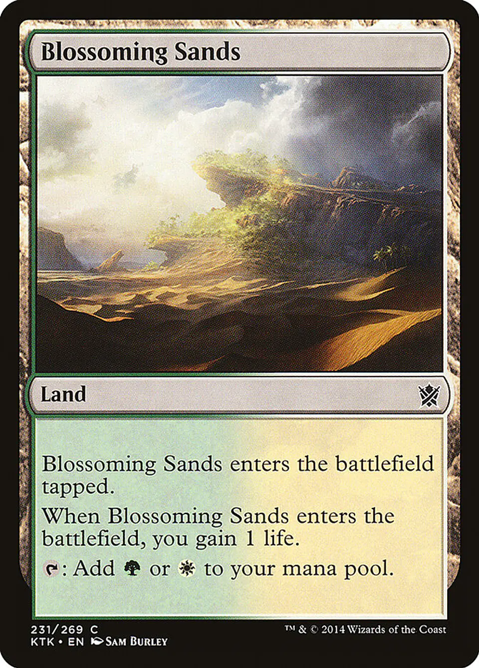 Blossoming Sands 1