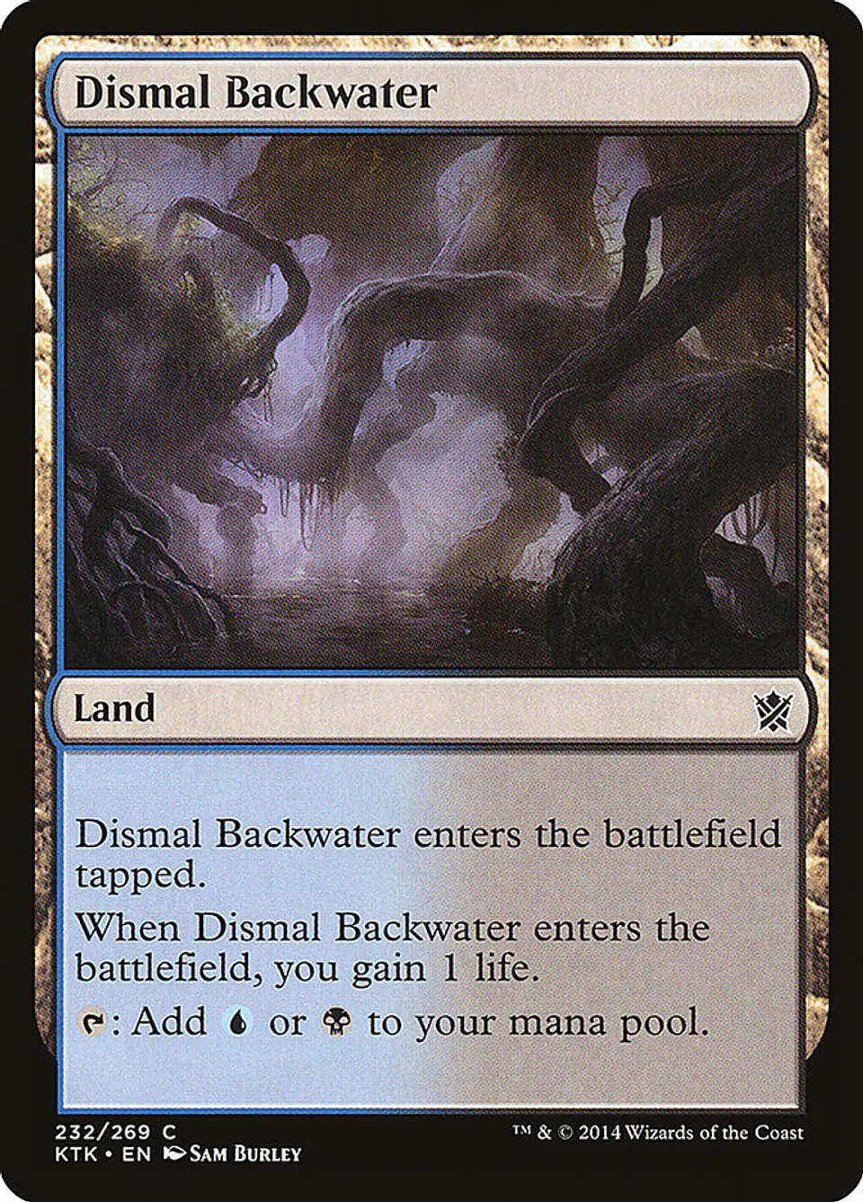 Dismal Backwater 1