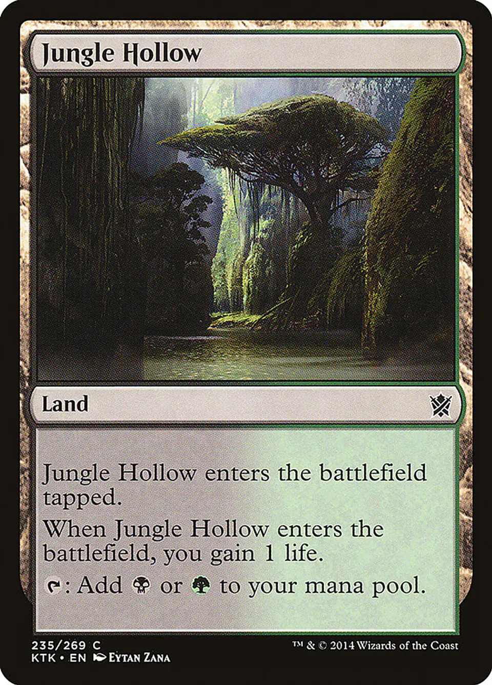 Jungle Hollow 1