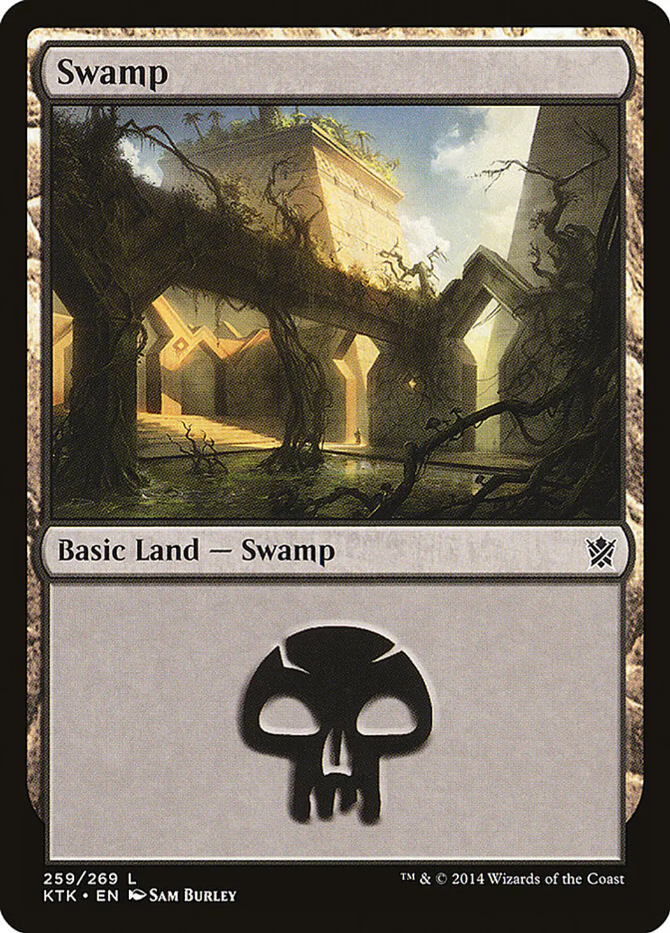Swamp 1