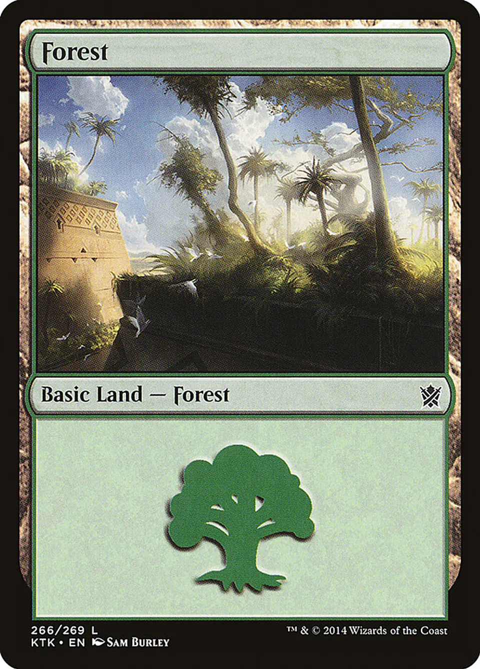 Forest 1