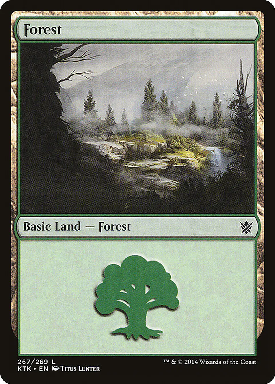 Forest 1