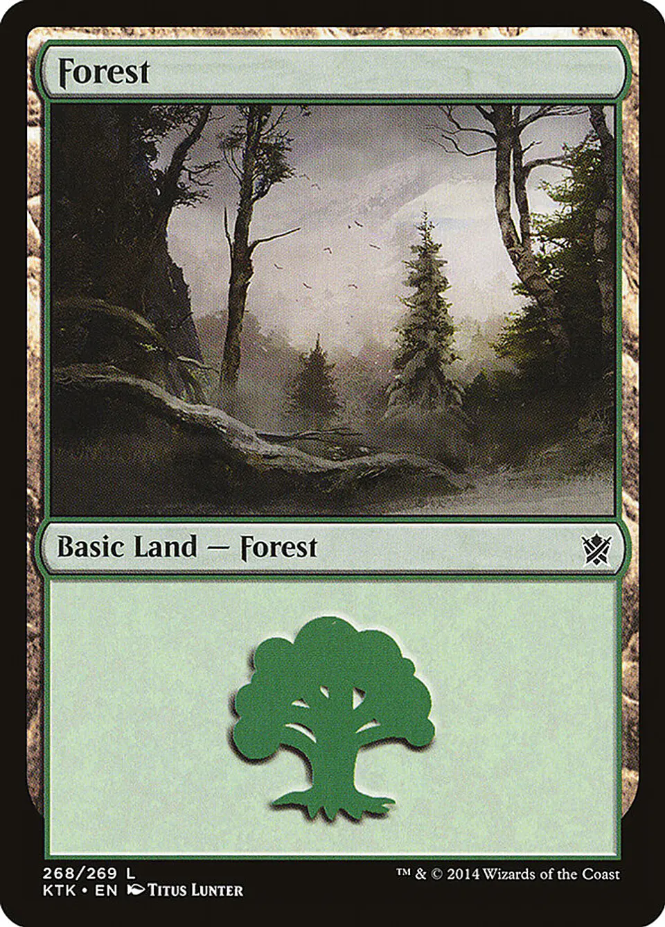 Forest 1