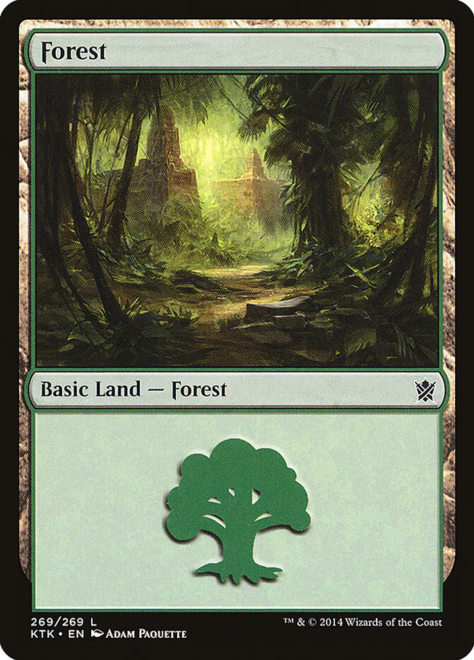 Forest 1