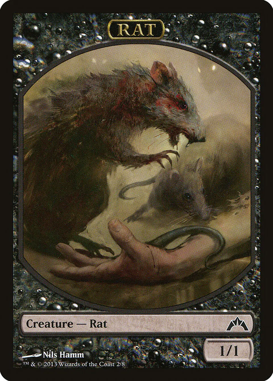 Rat 1