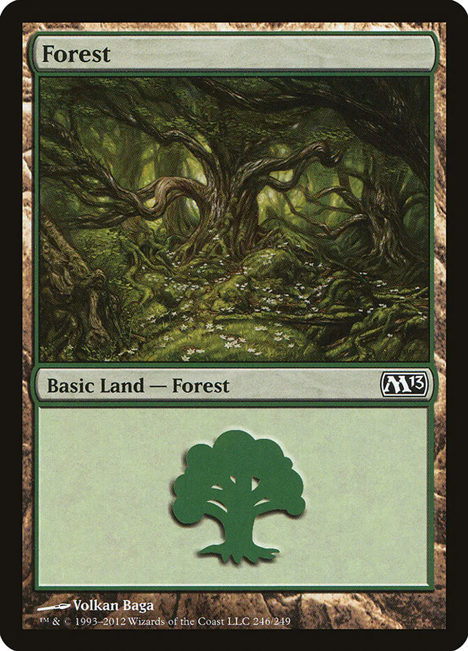 Forest 1